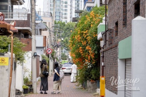 A Perfect Early Summer Getaway in Daegu_05