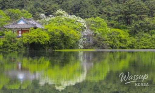Discovering a Hidden Gem in Jindo, Jeollanam-do_03