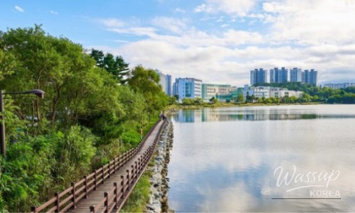 Discovering a Hidden Gem in Jindo, Jeollanam-do_02