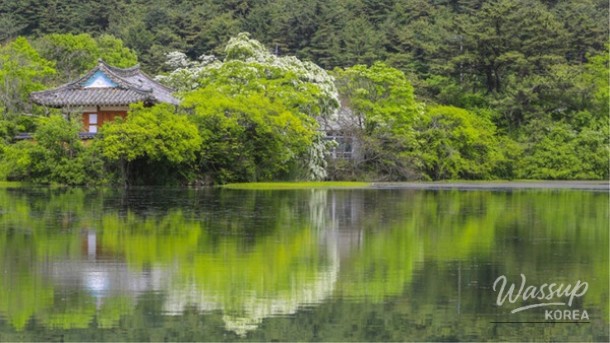 Discover the Enchantment of Miryang: A Perfect Summer Getaway_01