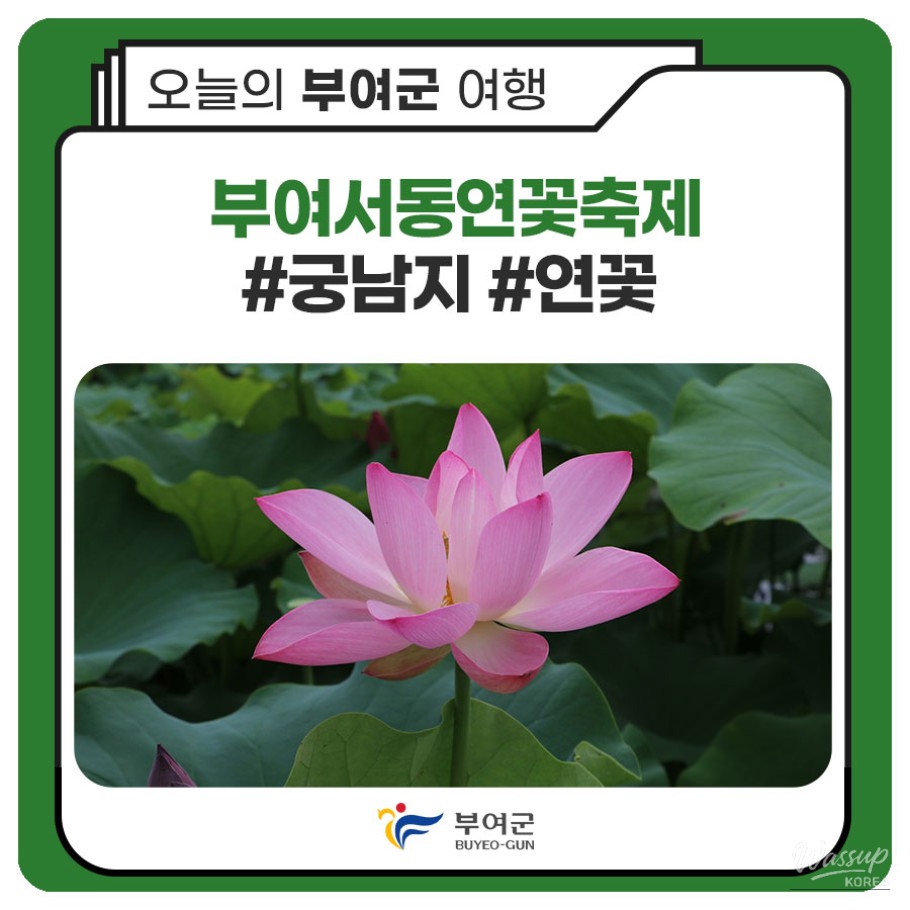 Experience the Most Beautiful Moments of Summer in Buyeo_01