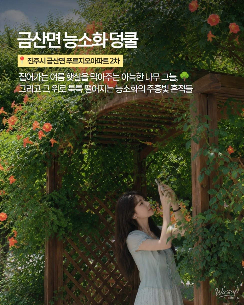 The Most Beautiful Places to See Trumpet Vine in Jinju_09