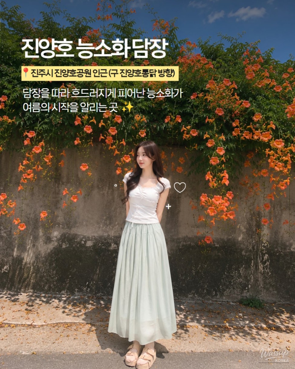 The Most Beautiful Places to See Trumpet Vine in Jinju_05