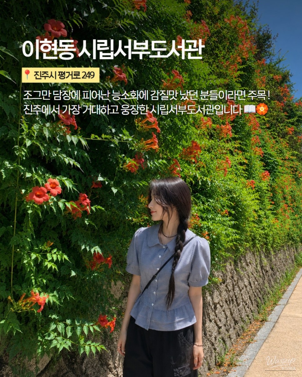 The Most Beautiful Places to See Trumpet Vine in Jinju_04