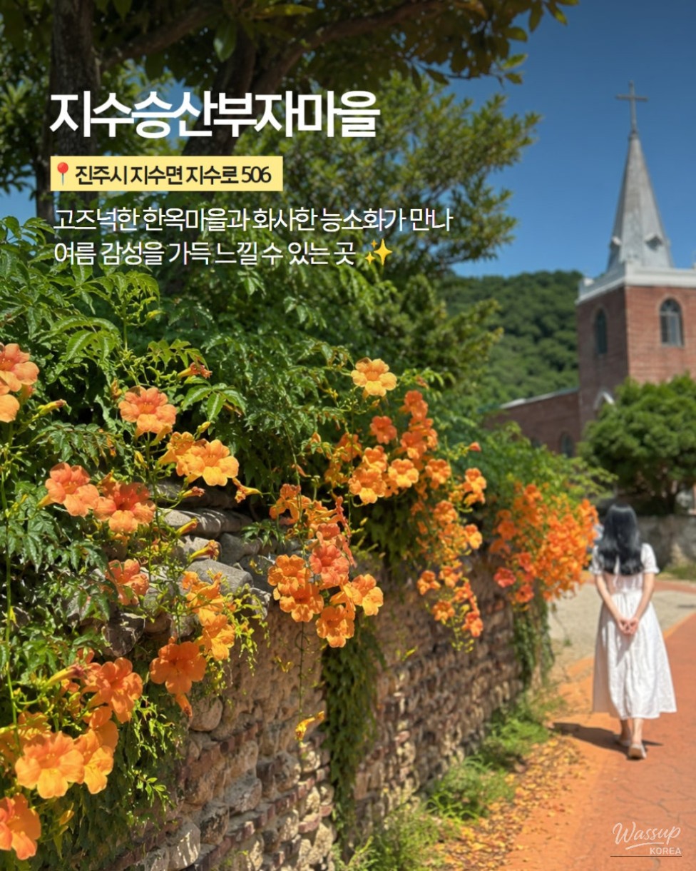 The Most Beautiful Places to See Trumpet Vine in Jinju_02