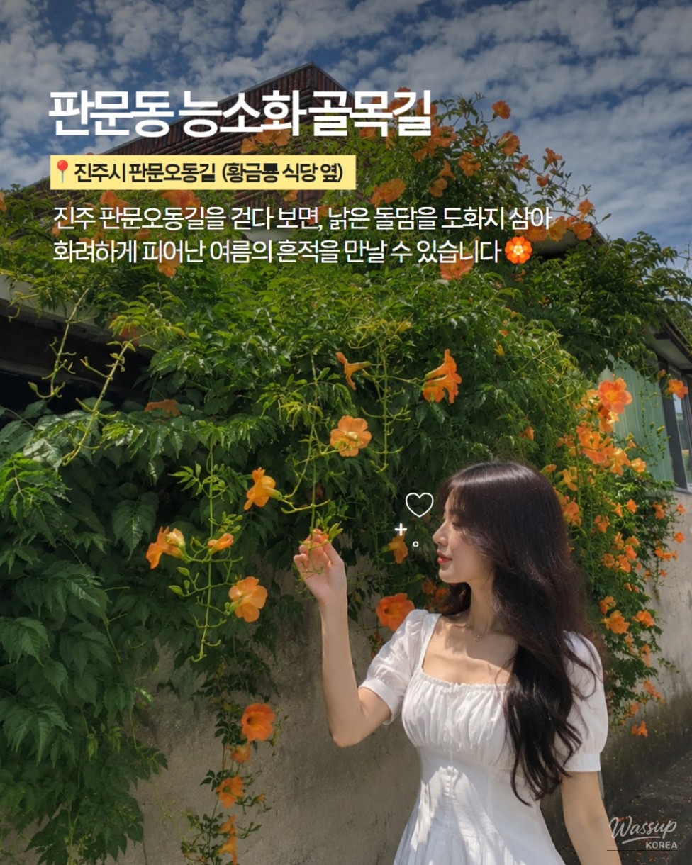 The Most Beautiful Places to See Trumpet Vine in Jinju_06