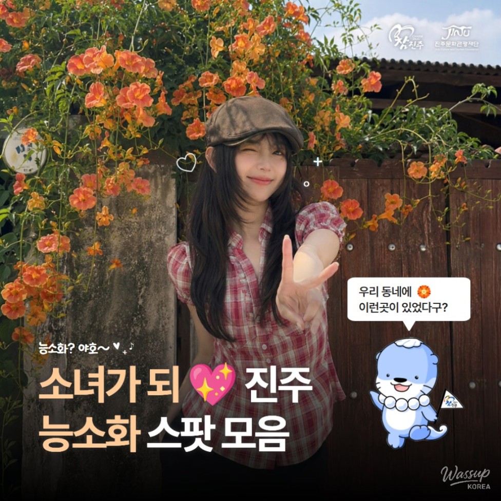 The Most Beautiful Places to See Trumpet Vine in Jinju_01