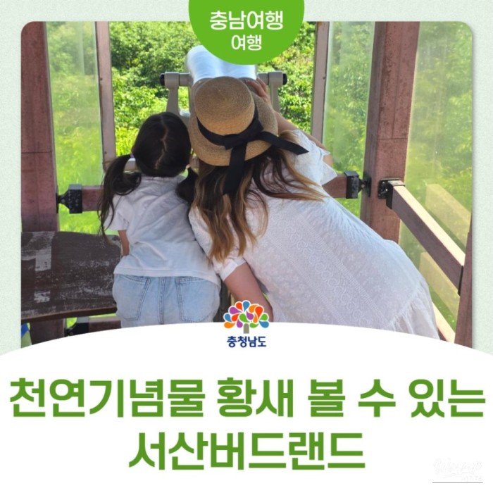 Exploring Seosan Birdland: A Memorable Family Adventure4338
