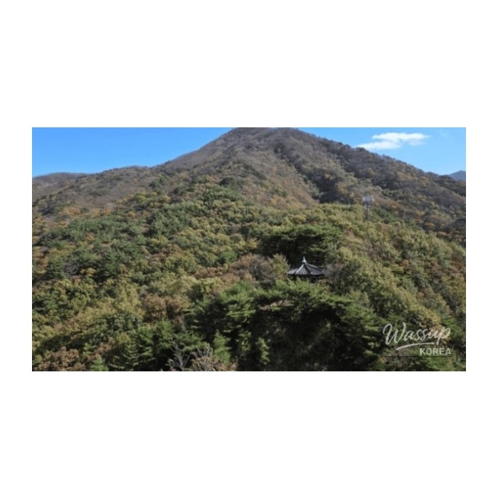 Discovering the Hidden Charm of Domaryeong Observatory4359