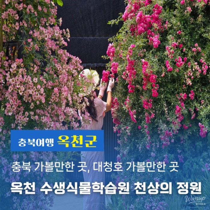 A Journey to the Heavenly Garden in Okcheon4349