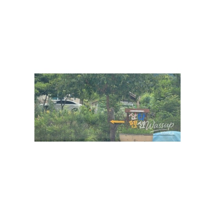 Discovering Santa Pension in Geochang4341