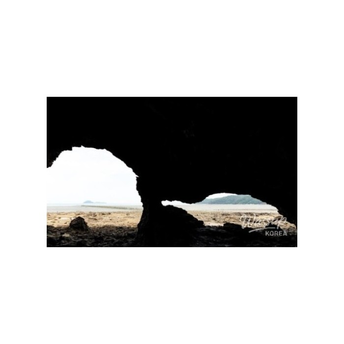 Discovering a Hidden Gem in Jindo, Jeollanam-do4352