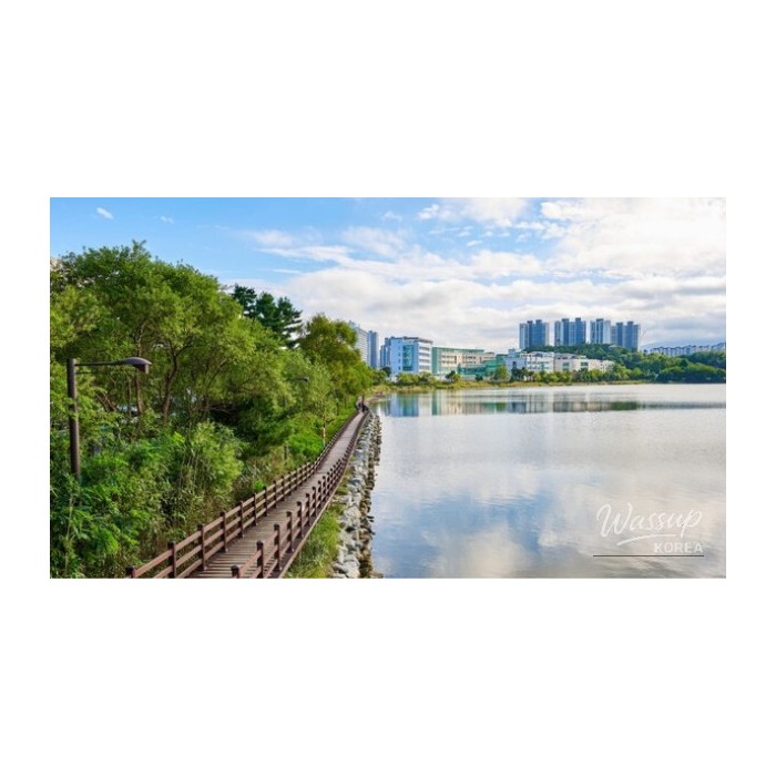 Explore the Hidden Gems of Yecheon: A Perfect Weekend Getaway4343