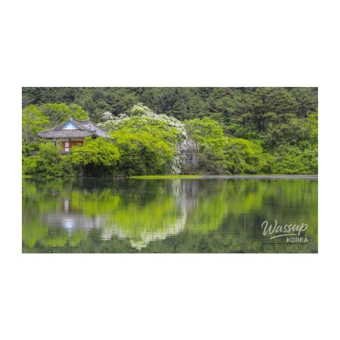 Discover the Enchantment of Miryang: A Perfect Summer Getaway4344
