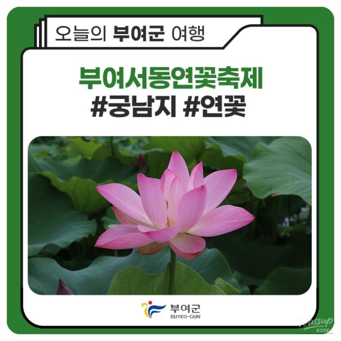 Experience the Most Beautiful Moments of Summer in Buyeo4358