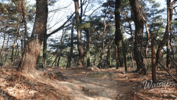 Discovering the Hidden Gems of Gyeongju National Park_03