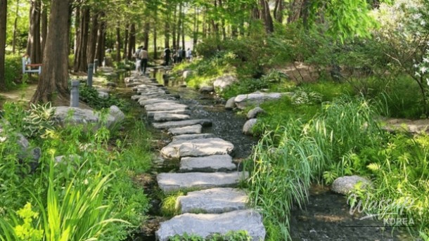 Discover the Serenity of Yangpyeong Semiwon Garden_05