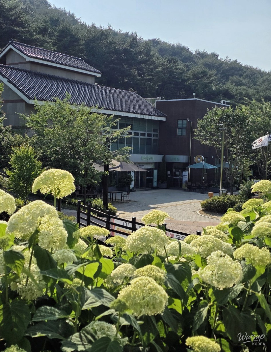 Exploring Samsun Mountain Arboretum in Dangjin_01