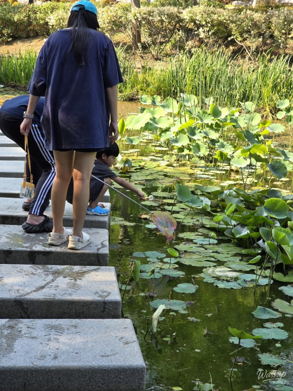 Exploring Samsun Mountain Arboretum in Dangjin_02