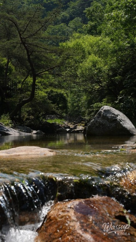 Discover the Refreshing Valleys of Danyang This Summer_04