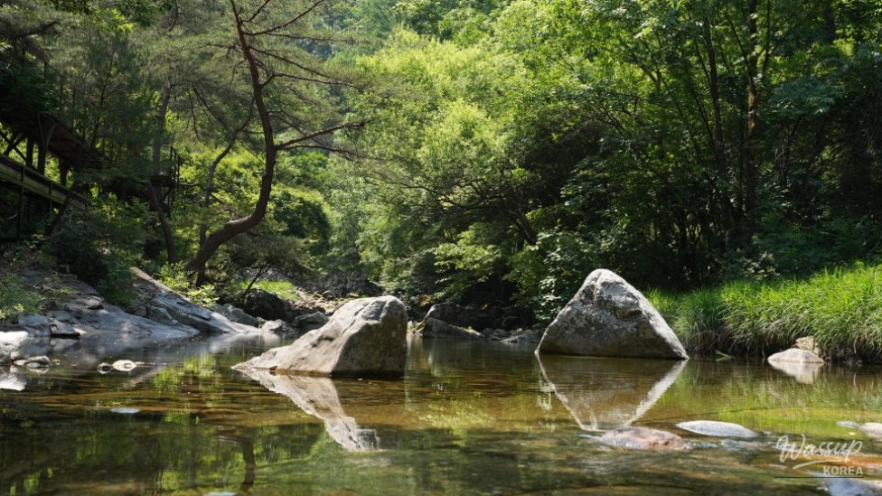 Discover the Refreshing Valleys of Danyang This Summer_02