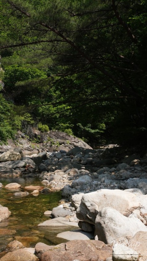 Discover the Refreshing Valleys of Danyang This Summer_03