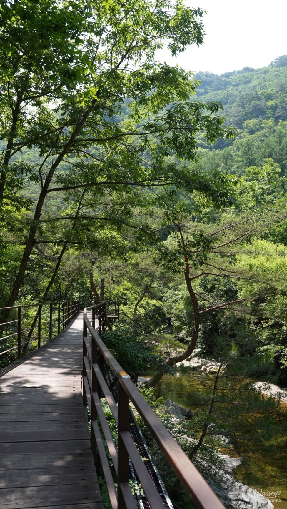 Discover the Refreshing Valleys of Danyang This Summer_05