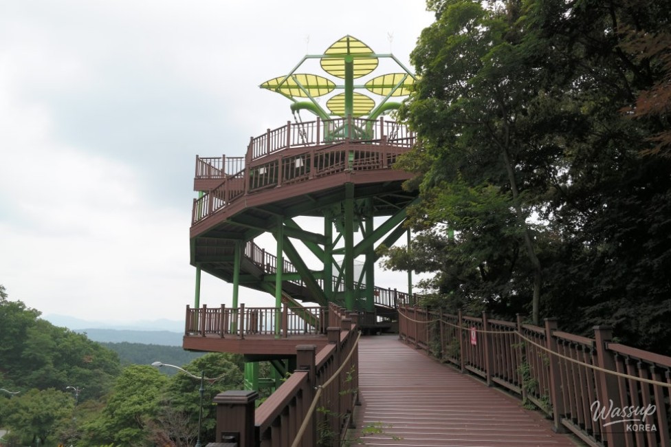 Exploring the Malti-jae Observatory in Boeun_03
