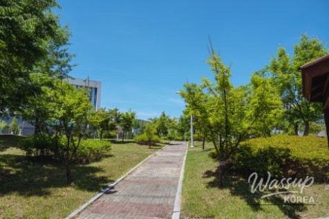 A Serene Walk in Seonok Park_07