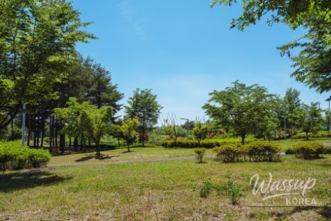 A Serene Walk in Seonok Park_04