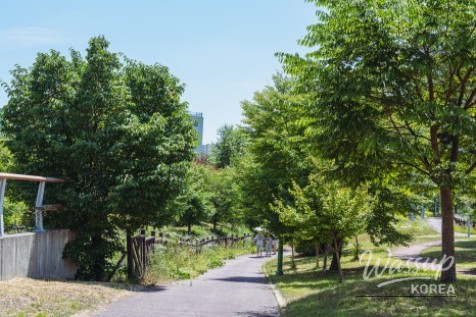 A Serene Walk in Seonok Park_03