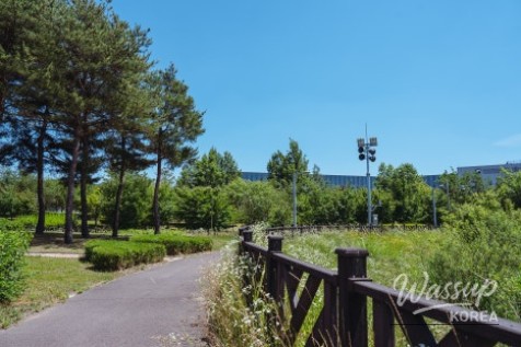 A Serene Walk in Seonok Park_08