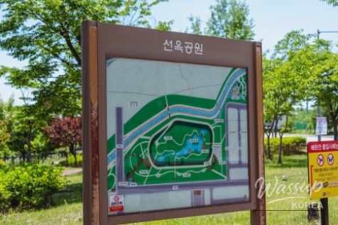 A Serene Walk in Seonok Park_02