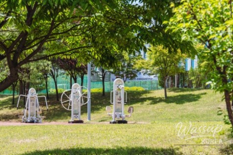A Serene Walk in Seonok Park_06