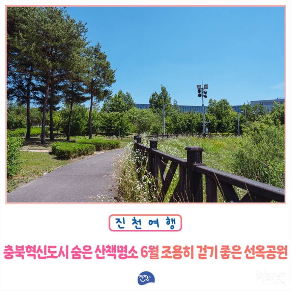 A Serene Walk in Seonok Park_01