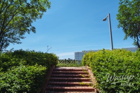 A Serene Walk in Seonok Park_13
