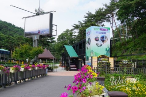 Exploring the Beauty of Sokrisan Theme Park in Boeun_04