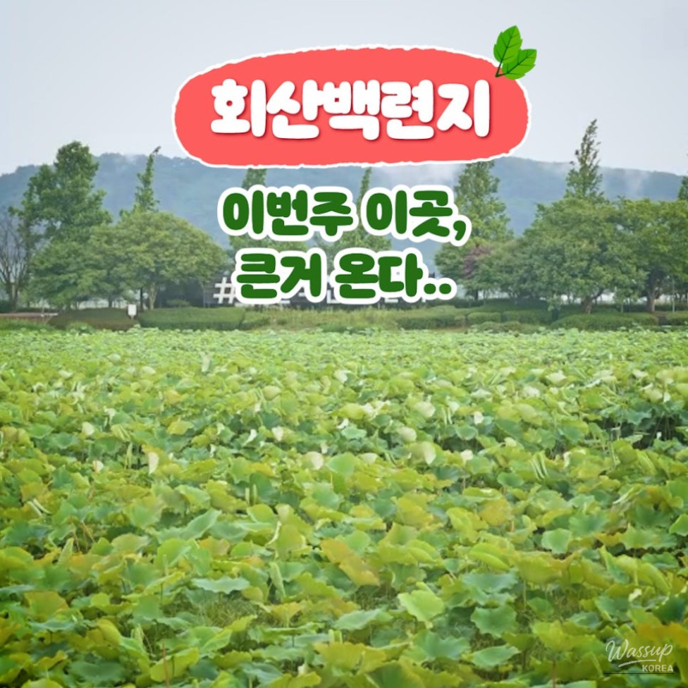 A Family Day Trip in Muan_02