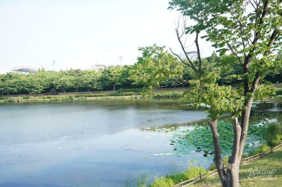 Exploring the Art and Nature of Ansan: The 'Eye-Path' Exhibition_02