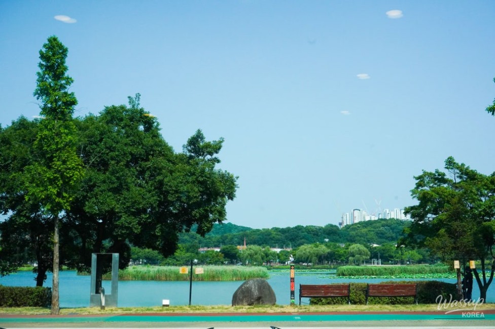 Exploring the Art and Nature of Ansan: The 'Eye-Path' Exhibition_11