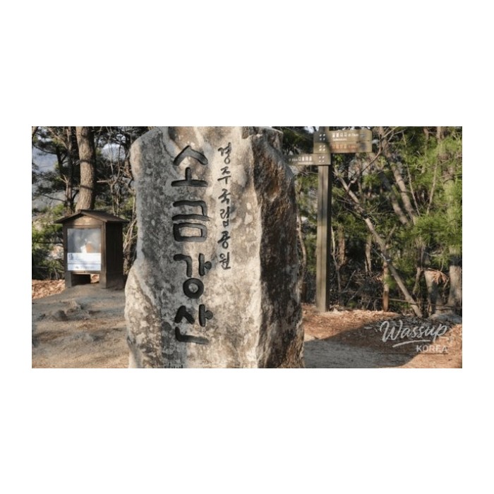 Discovering the Hidden Gems of Gyeongju National Park4363