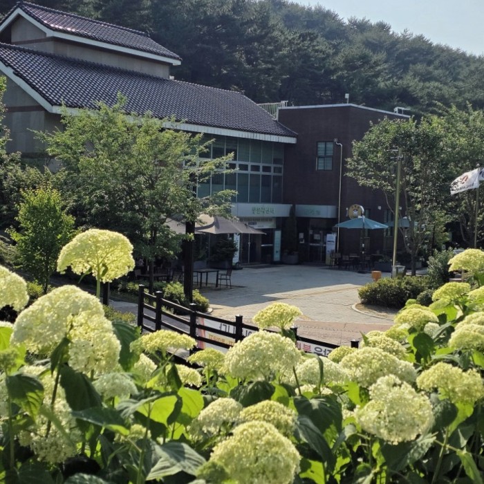 Exploring Samsun Mountain Arboretum in Dangjin4362