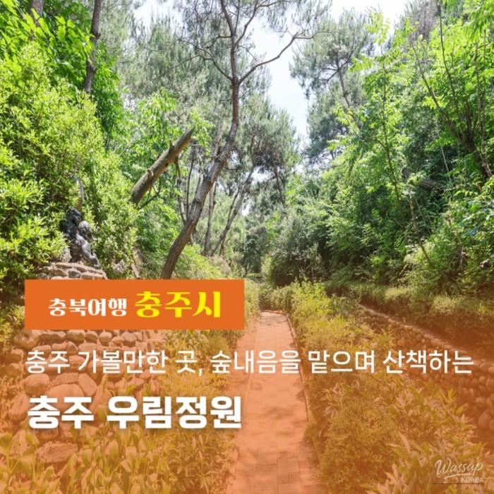 Exploring the Serenity of Chungju Woo Rim Garden4376