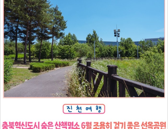 A Serene Walk in Seonok Park float