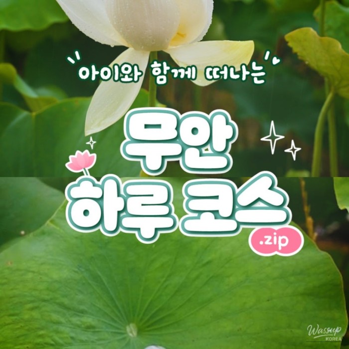A Family Day Trip in Muan4387