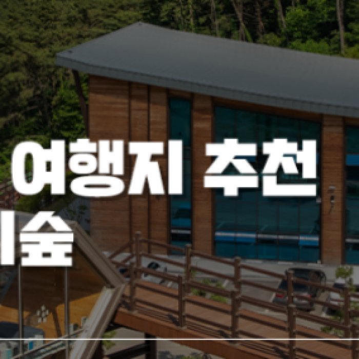 Healing in the Forest: A Relaxing Retreat at the National Iksan Healing Forest2072