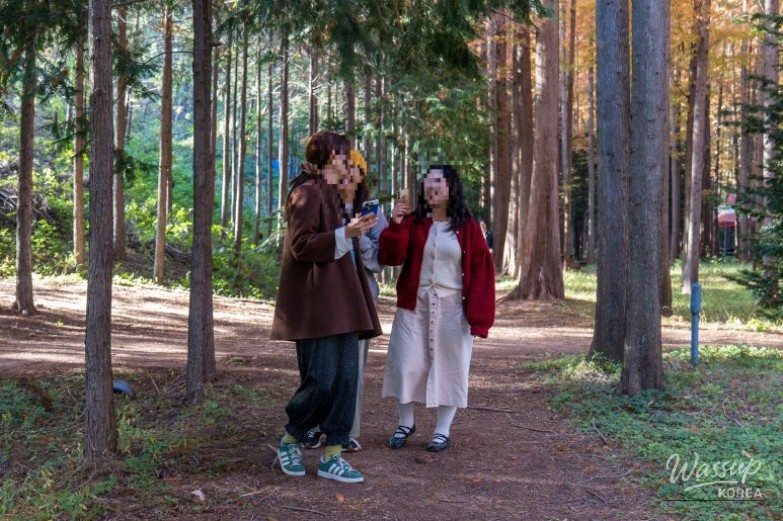 Explore Yeongdeok with Expert Local Guides_03