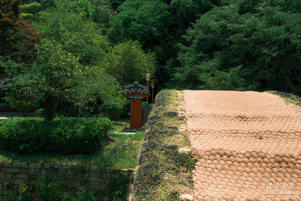 Exploring Namsan National Defense Park: A Tribute to History_03
