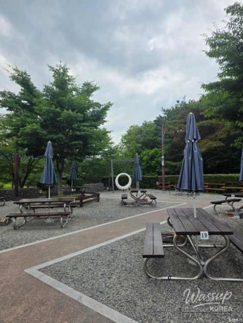 Exploring the Munsoo Healing Picnic Area in Ulsan_05