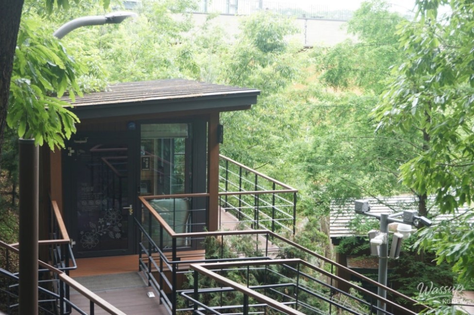Changes to the Reservation System for the Green Forest Reading Area_07